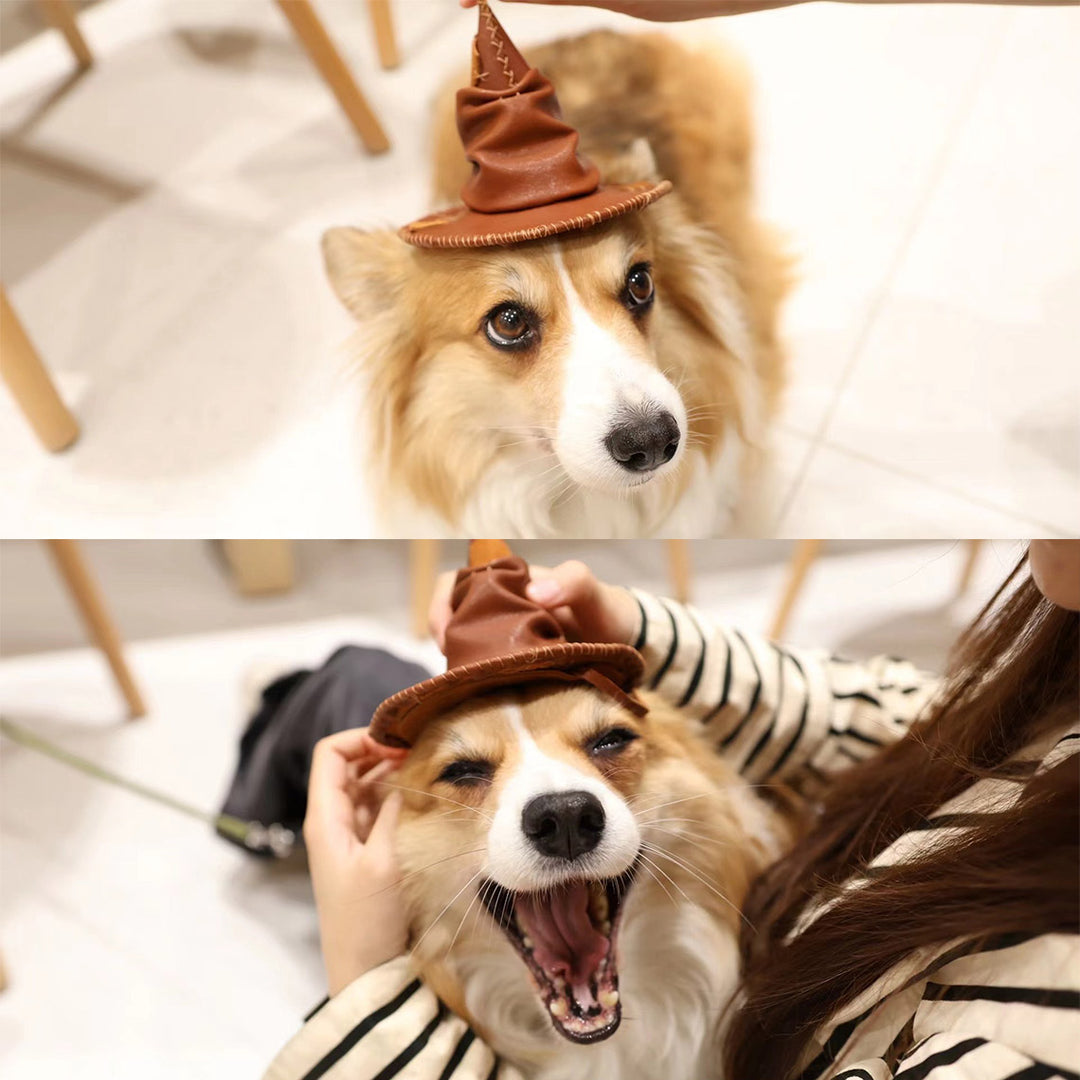 Small leather wizard hat | Cute leather accessories