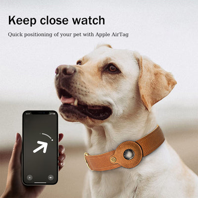 Pet Tracking Leather Dog Collar with Airtag Case - POPSEWING™