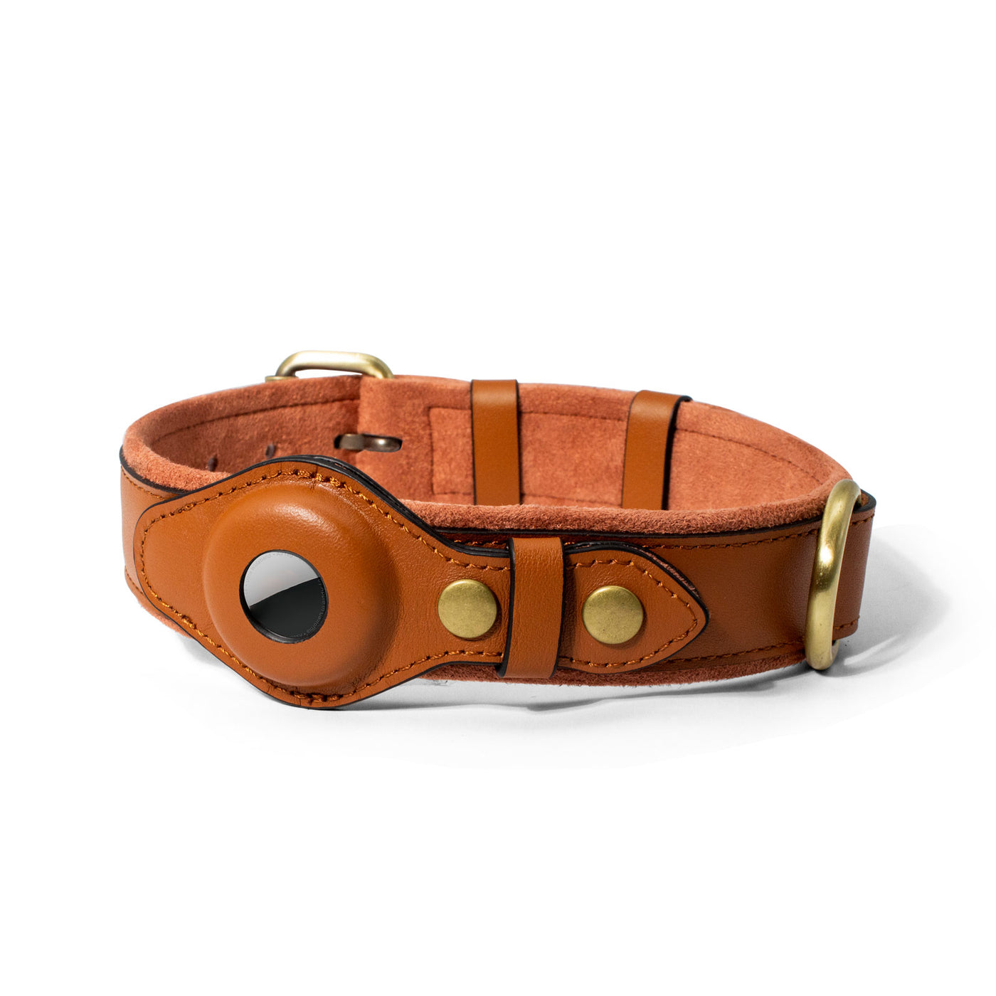 Genuine Leather Padded Dog Collar with Airtag Case