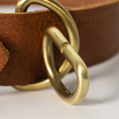 Real Leather Dog Collar with Solid Brass D Rings - POPSEWING™