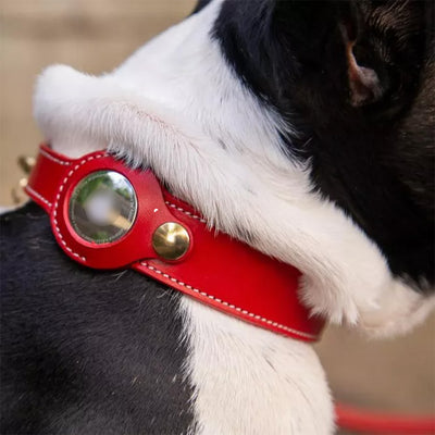 Red Dog Collar with Tracking Case for Small & Medium Dog