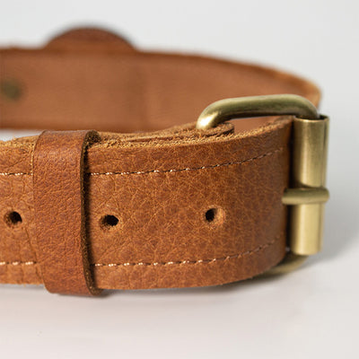 Leather Dog Collar with Solid Brass Hardwear Buckle - POPSEWING™